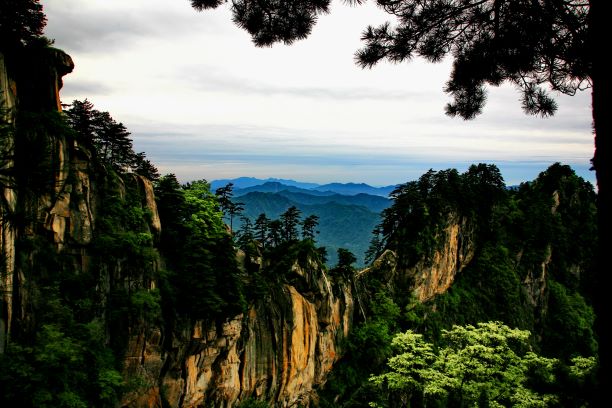 驼峰.jpg 驼峰.jpg